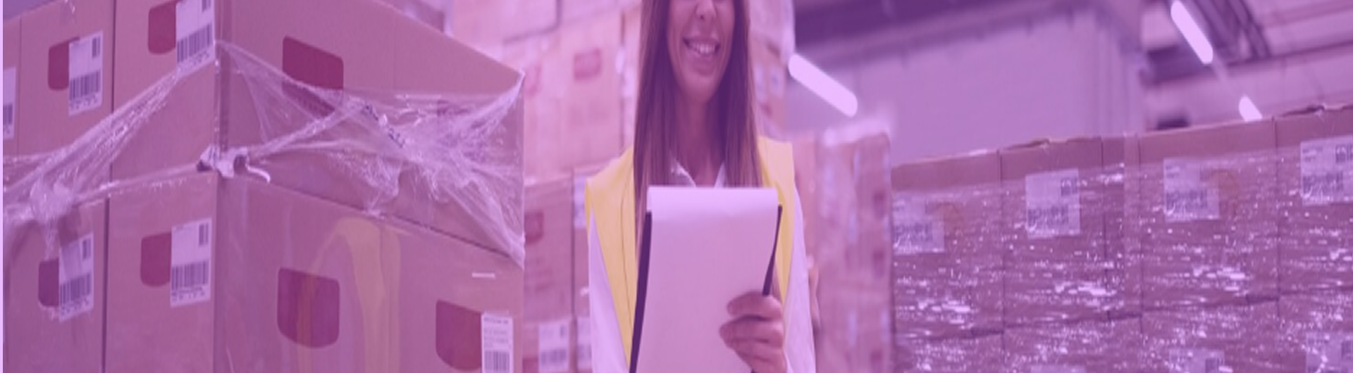 Canais de Distribuição e Estoques